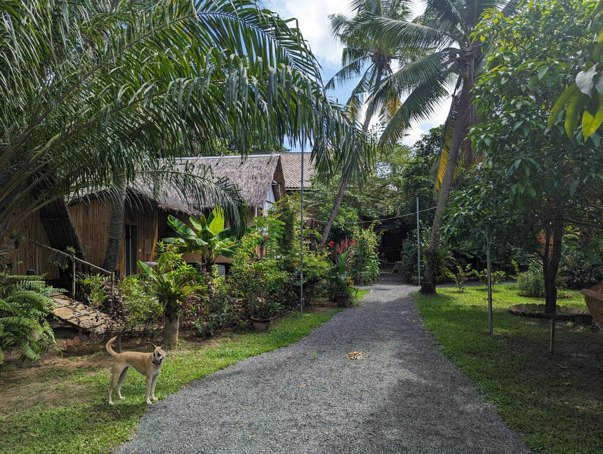 Nary Garden Hotel Kampot Exterior foto